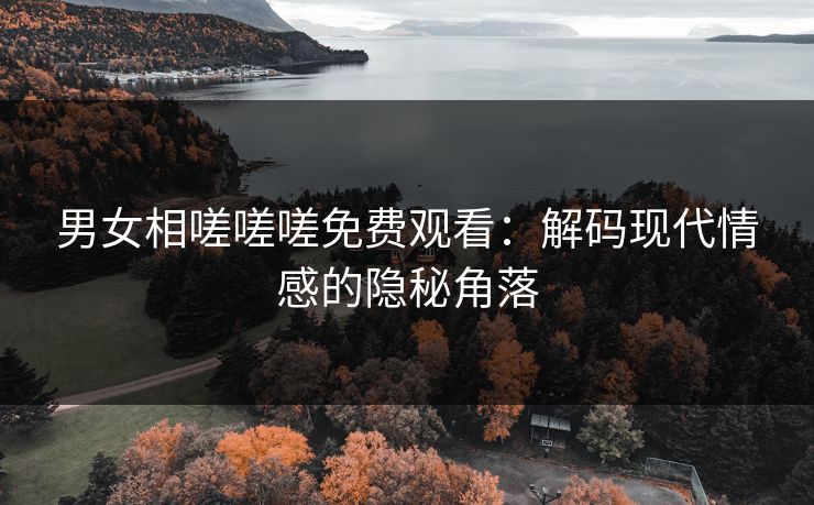 男女相嗟嗟嗟免费观看：解码现代情感的隐秘角落