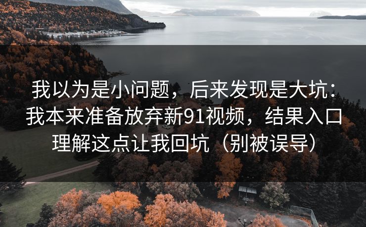 我以为是小问题,后来发现是大坑:我本来准备放弃新91视频,结果入口理解这点让我回坑(别被误导)